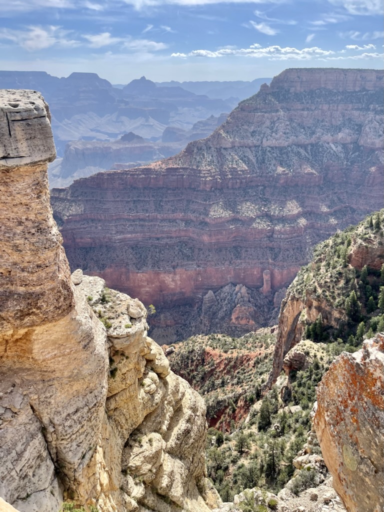 Natural USA Beauty