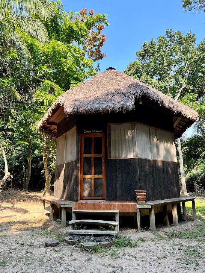 Bolivia Amazon Rainforest